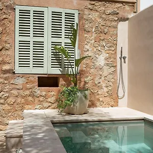 Hotel Ecocirer Healthy ****